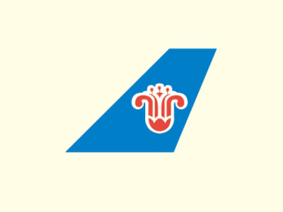 中國(guó)南方航空股份有限公司
